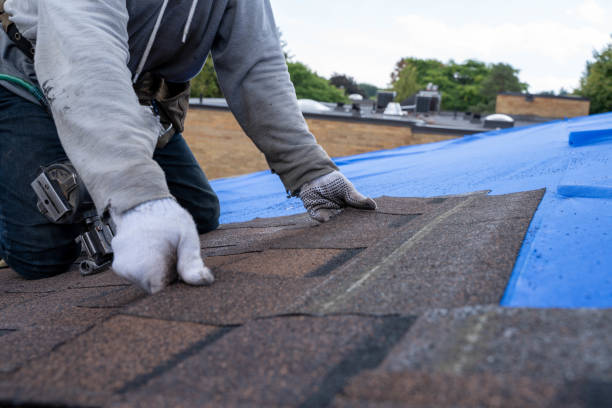 Best Emergency Roof Repair  in Lyles, TN