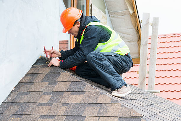 Roof Gutter Cleaning in Lyles, TN